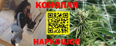 гашик Балашиха