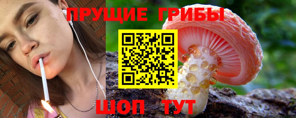Дзержинский  Галлюциногенные грибы Psilocybine cubensis  Вход с VPN 
